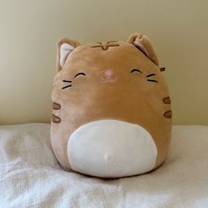 Nathan the Tabby Cat Squishmallows